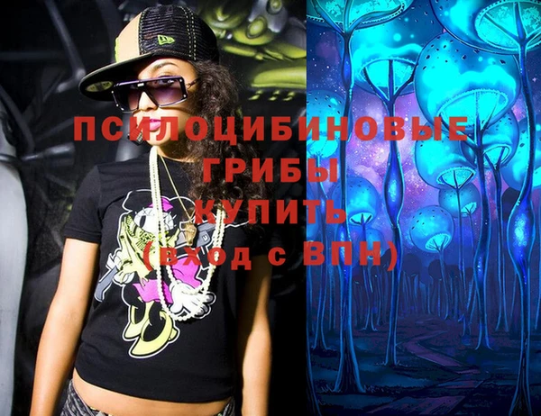мдпв Алзамай