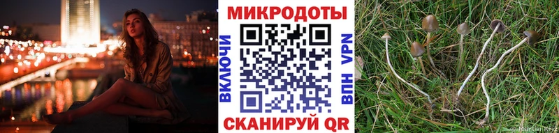 Псилоцибиновые грибы MAGIC MUSHROOMS как найти закладки Звенигород