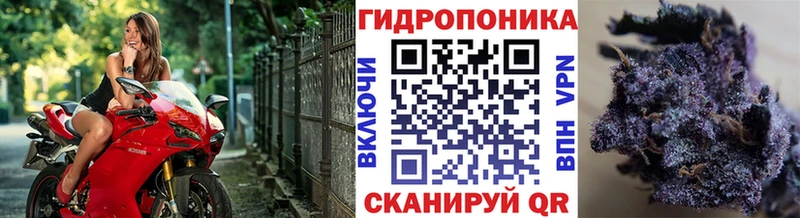 Шишки марихуана VHQ  Звенигород 
